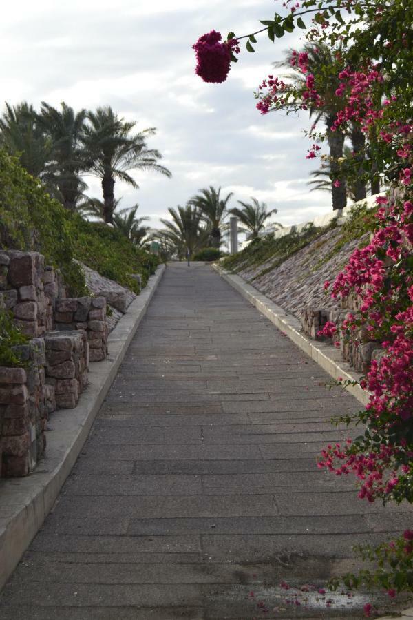 Apartamento Cabo De Gata 레타마르 외부 사진